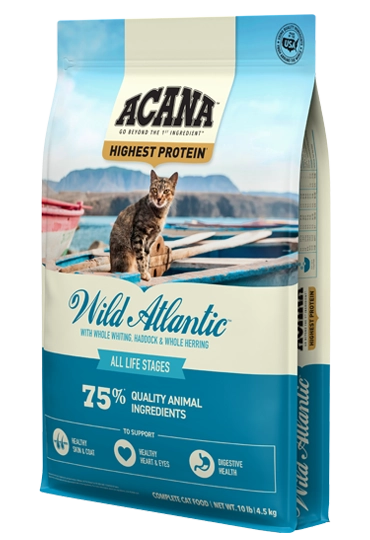 USA ACA CAT Wild Atlantic 10lb_Front Left